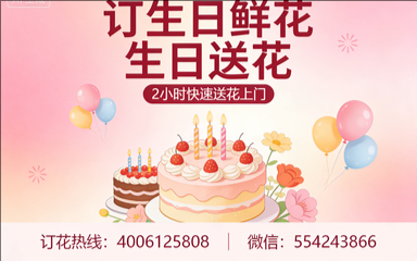 聊城临清市订生日鲜花生日送花